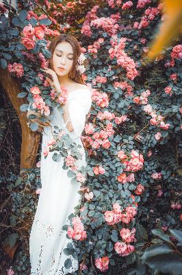 三年片在线观看免费观看高清动漫