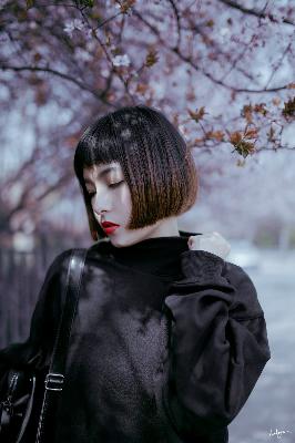 大地资源在线观看免费高清