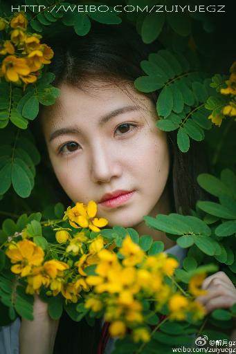 大地资源第三页高清在线观看免费