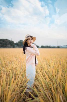最美的青春电视剧全集免费观看