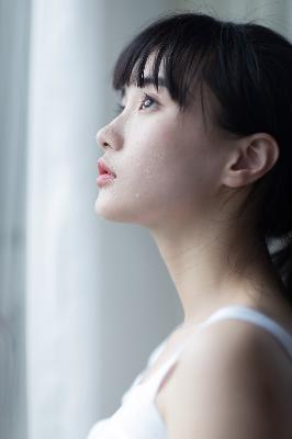 欧美人动物PPT免费模板大全