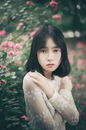 最好的2019中文大全在线观看