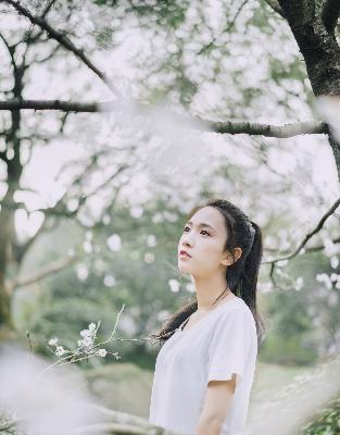 三年大片免费高清哔哩哔哩