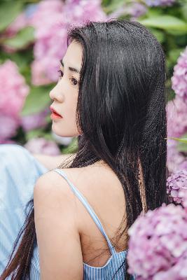 樱花在线视频免费观看电视剧