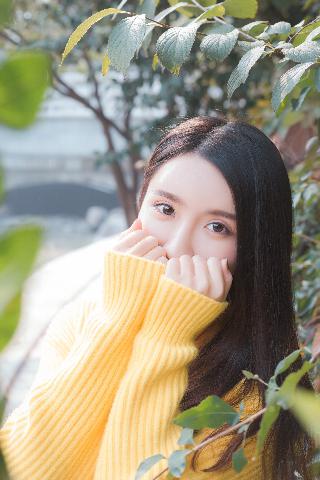 少女国产免费观看高清电视剧
