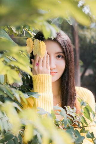 大地电影影院在线播放
