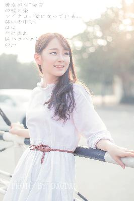 成全免费高清在线观看第5季预告