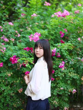樱花动漫网