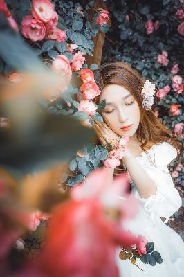 美少女免费高清版观看