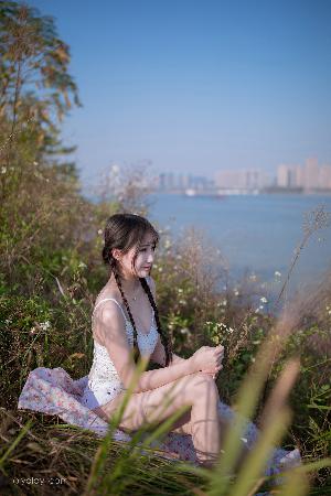 大地视频在线观看免费高清