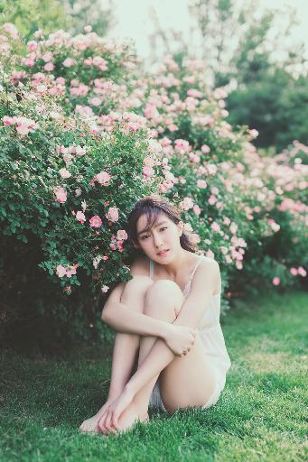 大地资源二免费观看高清版下载